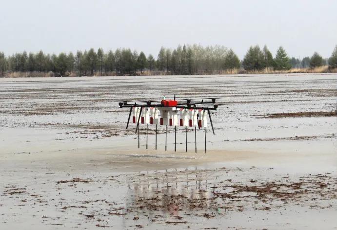 《“十三五”農(nóng)業(yè)農(nóng)村發(fā)展成就斐然，農(nóng)業(yè)機(jī)械化與科技服務(wù)引領(lǐng)現(xiàn)代農(nóng)業(yè)新篇章》